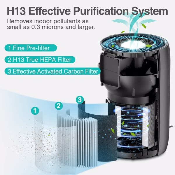 H13 Air Purifier