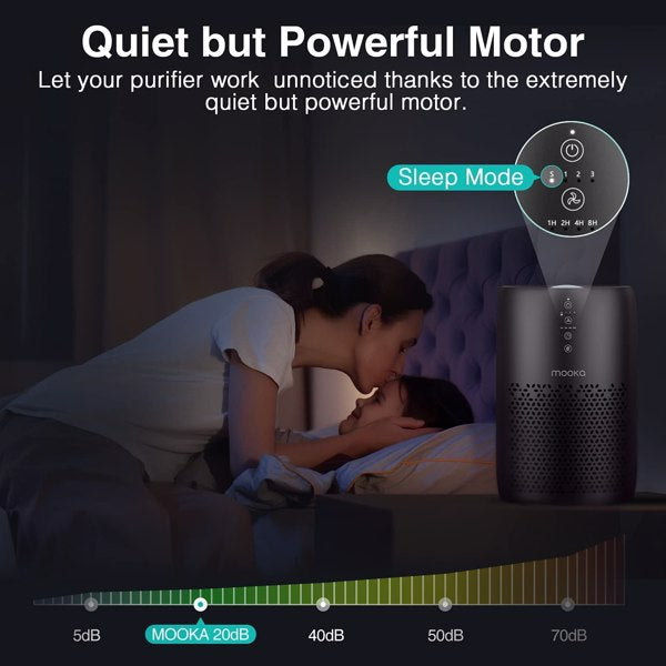 H13 Air Purifier